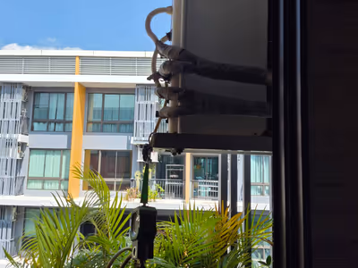 ภาพแกลลอรี่ 35