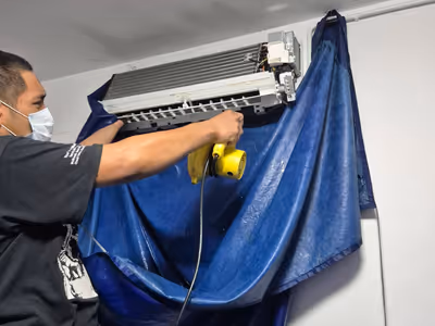 ภาพแกลลอรี่ 3