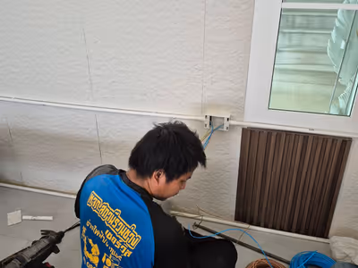 ภาพแกลลอรี่ 30