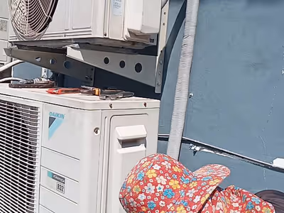 ภาพแกลลอรี่ 85