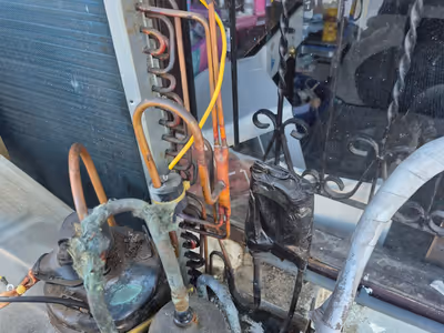 ภาพแกลลอรี่ 20